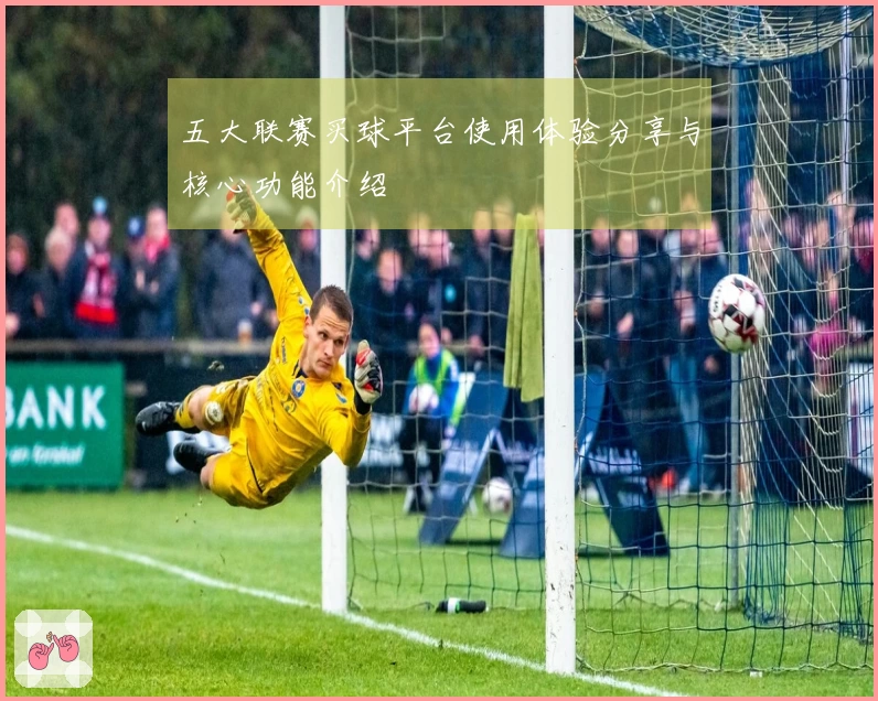 五大联赛买球平台使用体验分享与核心功能介绍