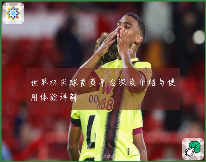 世界杯买球首页平台深度介绍与使用体验详解