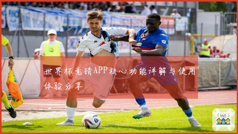 世界杯竞猜APP核心功能详解与使用体验分享