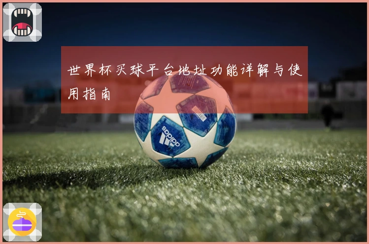 世界杯买球平台地址功能详解与使用指南