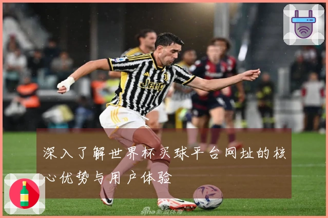 深入了解世界杯买球平台网址的核心优势与用户体验