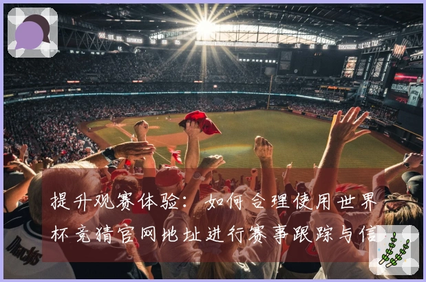 提升观赛体验：如何合理使用世界杯竞猜官网地址进行赛事跟踪与信息获取