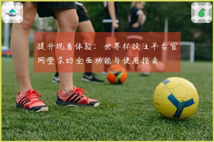 提升观看体验：世界杯投注平台官网登录的全面功能与使用指南