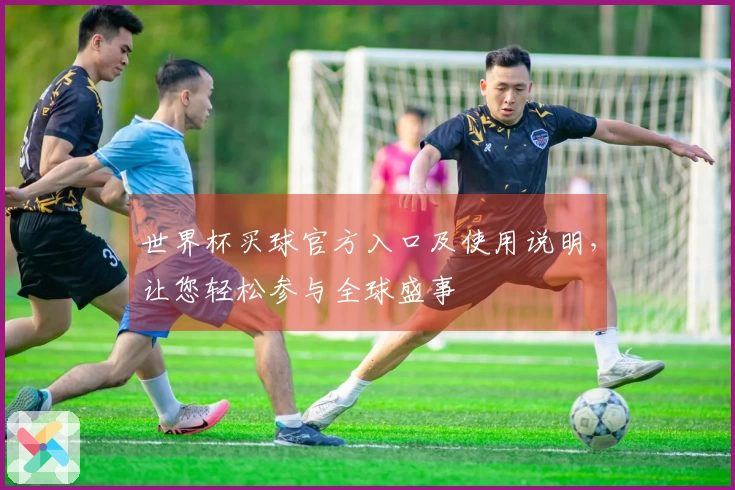 世界杯买球官方入口及使用说明，让您轻松参与全球盛事