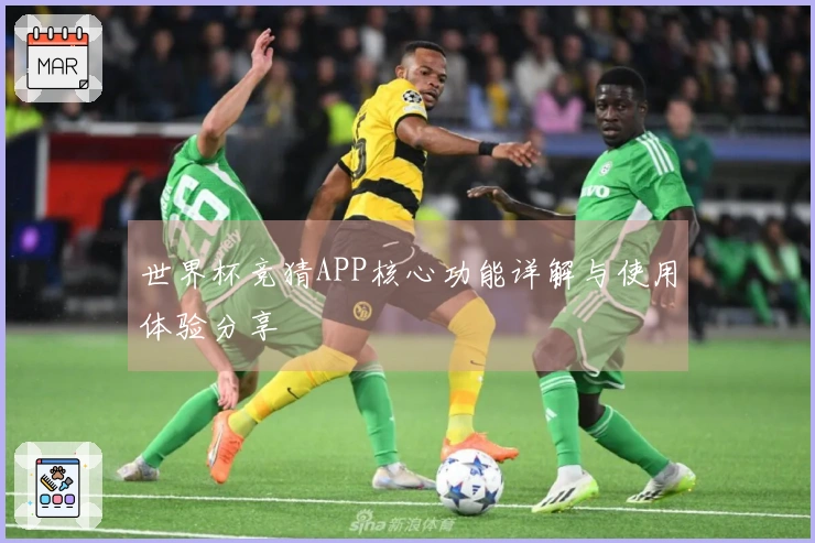 世界杯竞猜APP核心功能详解与使用体验分享