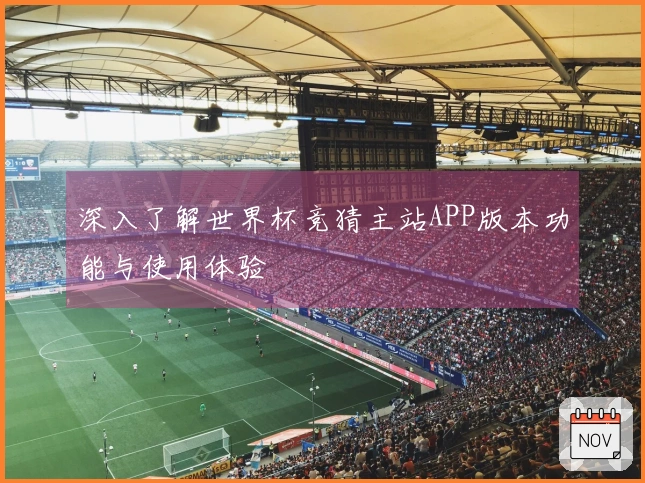 深入了解世界杯竞猜主站APP版本功能与使用体验