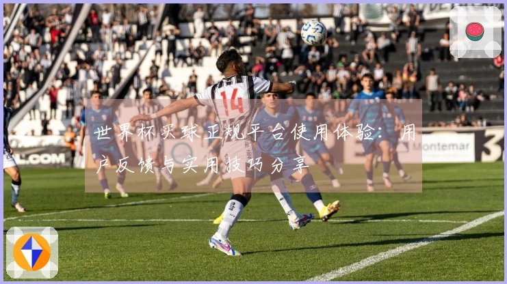 世界杯买球正规平台使用体验：用户反馈与实用技巧分享