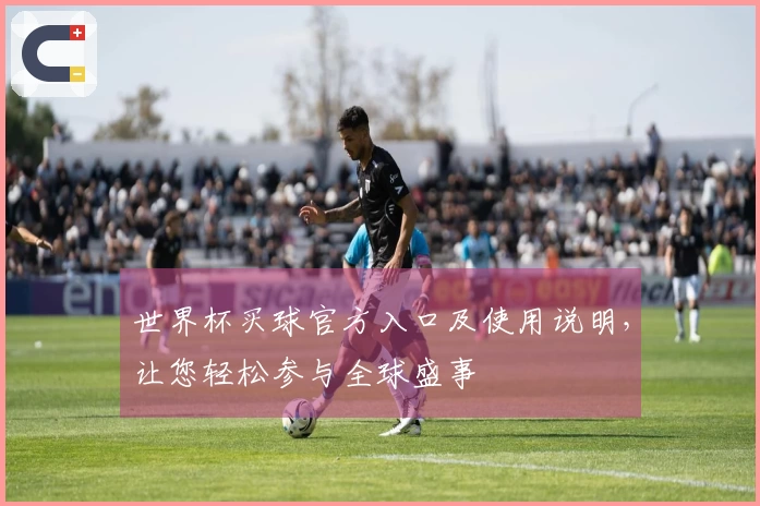 世界杯买球官方入口及使用说明，让您轻松参与全球盛事