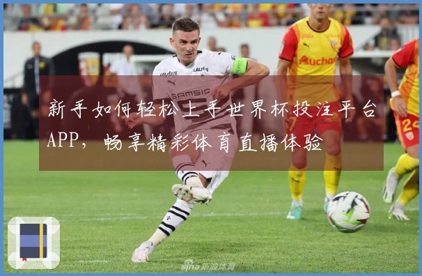 新手如何轻松上手世界杯投注平台APP，畅享精彩体育直播体验