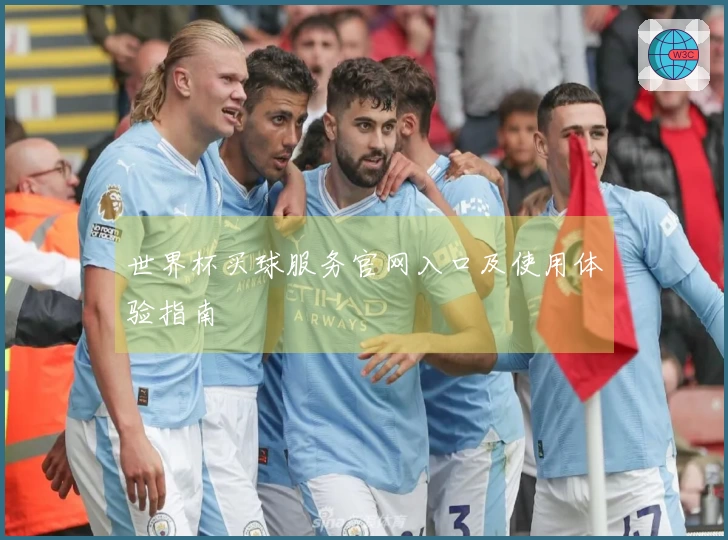 世界杯买球服务官网入口及使用体验指南