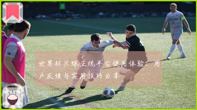世界杯买球正规平台使用体验：用户反馈与实用技巧分享