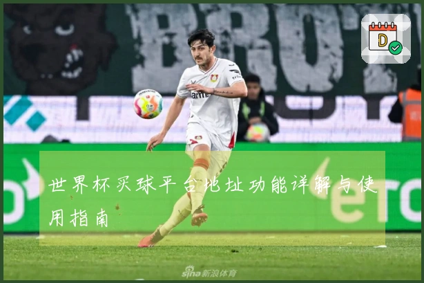 世界杯买球平台地址功能详解与使用指南
