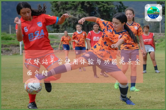 买球站平台使用体验与功能亮点全面介绍